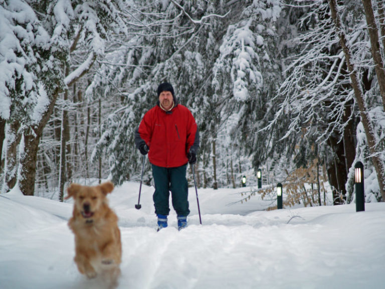 Cross Country Skiing & Snowshoeing Gaylord Michigan Area Convention and Tourism Bureau