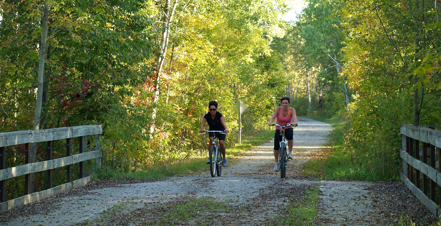 Northern Michigan Trails, Gaylord