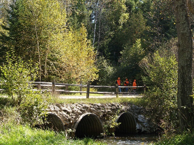 Go Hunting - Gaylord Michigan