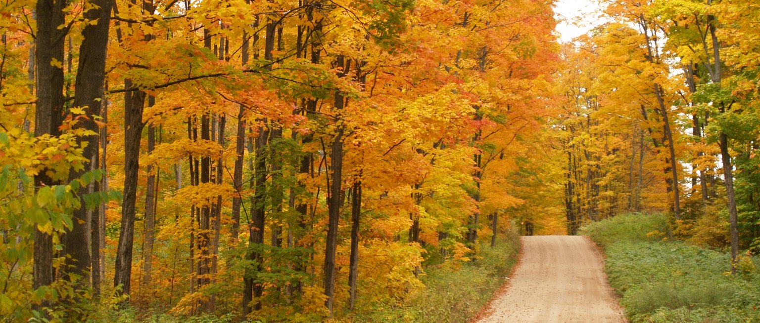 Visit Gaylord Activities, Lodging & Events in Gaylord, MI