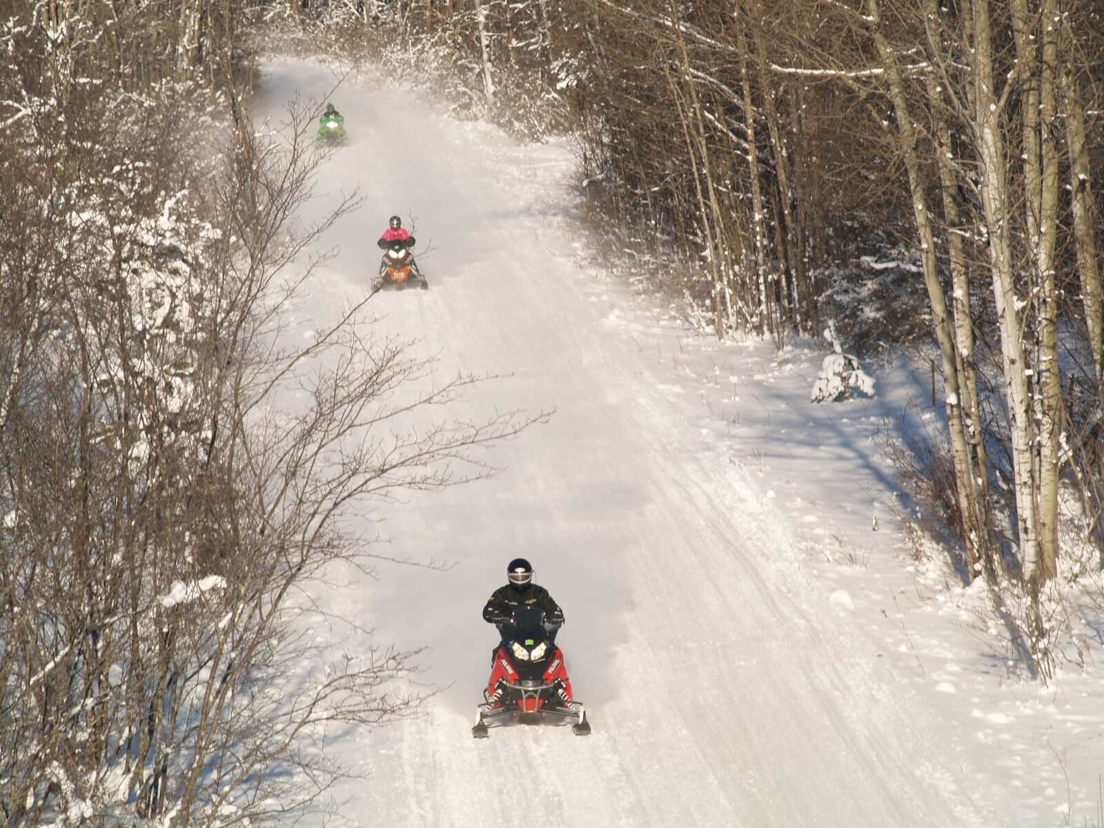 Snowmobile going down a trail lined with trees.